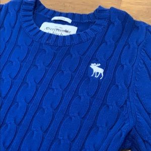 Abercrombie & Fitch Men’s Muscle Sweater